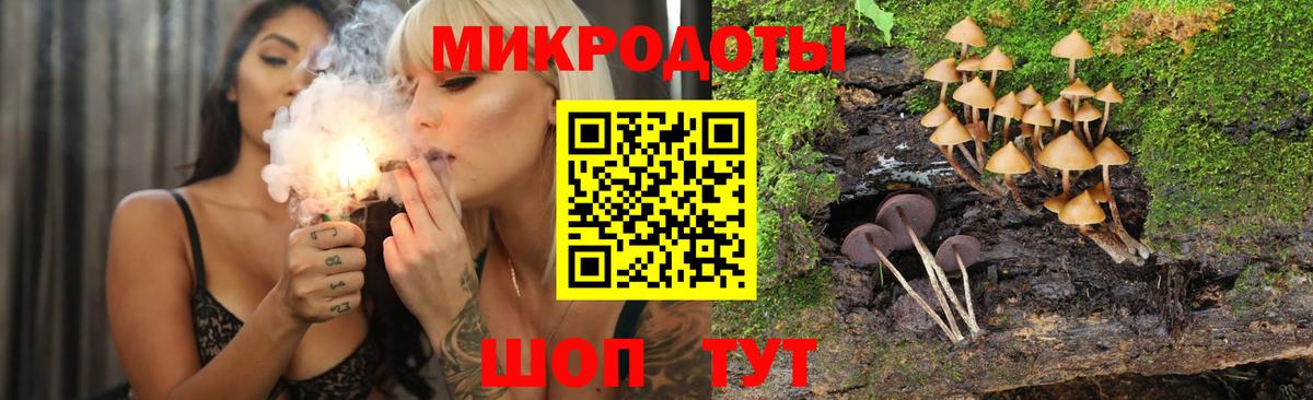 Сосновоборск  Псилоцибиновые грибы Cubensis  Псилоцибиновые грибы мухоморы  Вход с VPN 